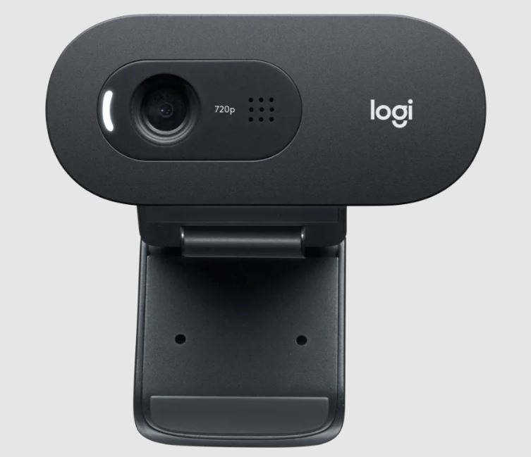 LOGITECH Webcam C505e[...]